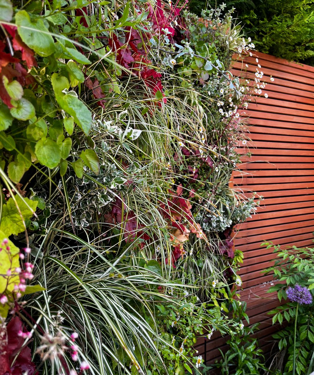 Flowers and shrubbery covering a garden fence