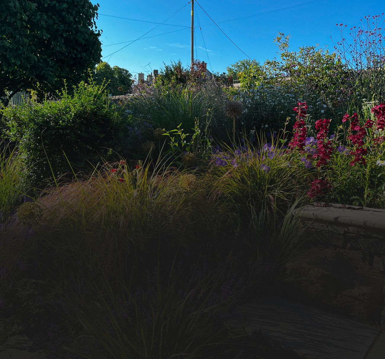 A bed of colourful flowers and other greenery