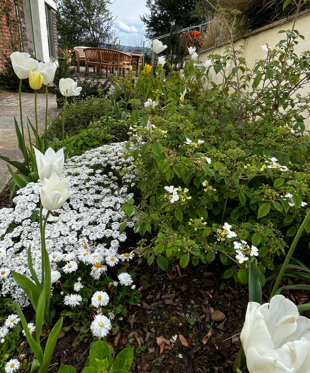 Garden Design in Cheltenham