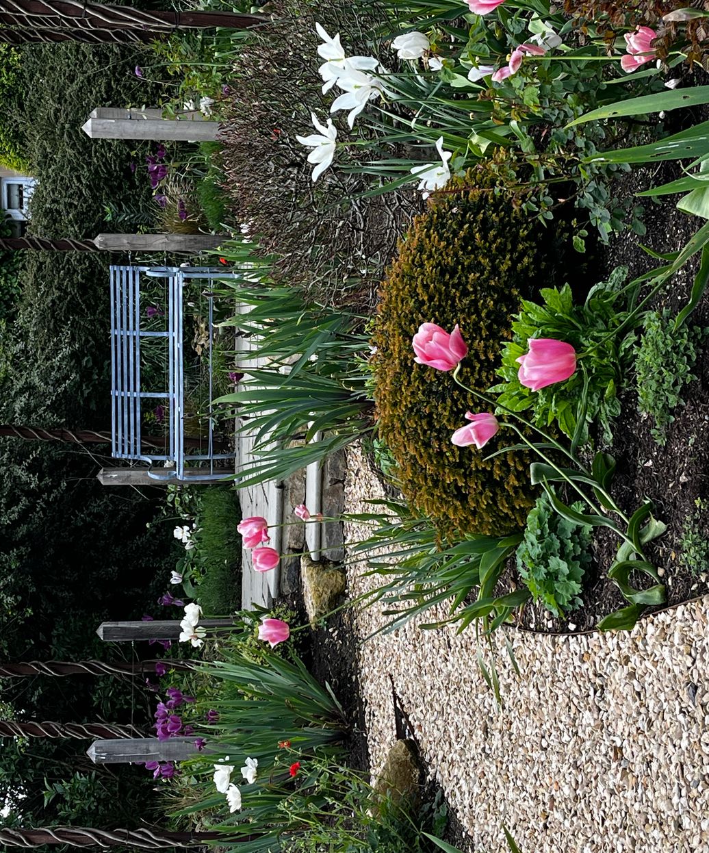 Garden Design in Worcestershire